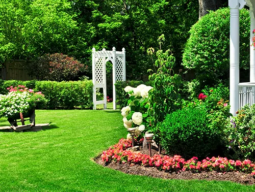 Affordable Landscaping Near Me