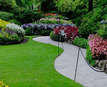 Professional Landscape Contractor in Houston, TX